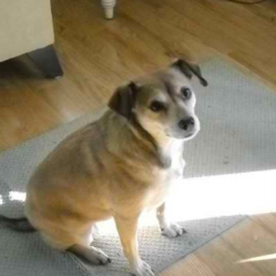 Profile Picture of Scott Juliano (@scottjuliano) on Twitter