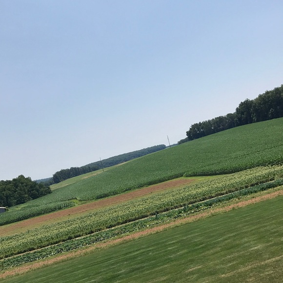 Profile Picture of Katie Mcfatridge (@katiem0404) on Poshmark