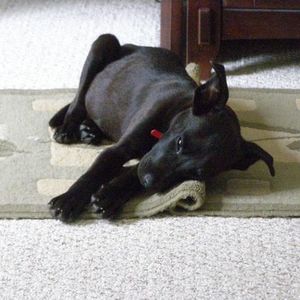 Profile Picture of David Sandra Tagliaferri (@davidandsandratagliaferri) on Myspace