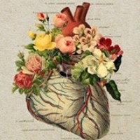 Profile Picture of Safa Zalloum (@safa-zalloum) on Quora