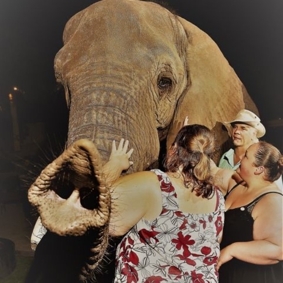 Profile Picture of Jessie Jorae (@jessjorae) on Poshmark