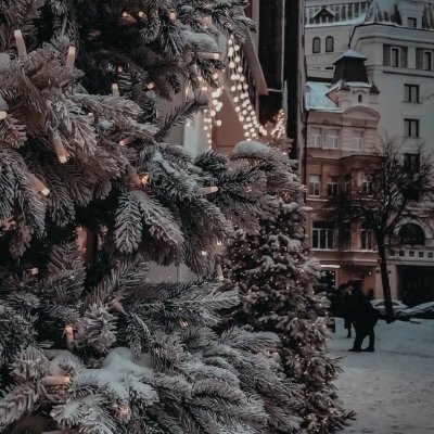 Profile Picture of Nora Lorenzo (@NoraLorenzo2) on Twitter