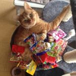 Profile Picture of Neveu Jonathan (@jamais____203) on Instagram