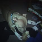 Profile Picture of Brad Benningfield (@Brad-Benningfield) on Facebook