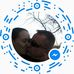 Profile Picture of Josh Kepley (@josh.kepley.31) on Facebook