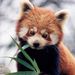 Profile Picture of Taylor Petree (@tpetree0826) on Pinterest