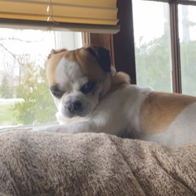 Profile Picture of Nacho Buissnes (@Jasmine10422904) on Twitter