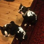 Profile Picture of Mandy Butcher (@mandybex1) on Instagram