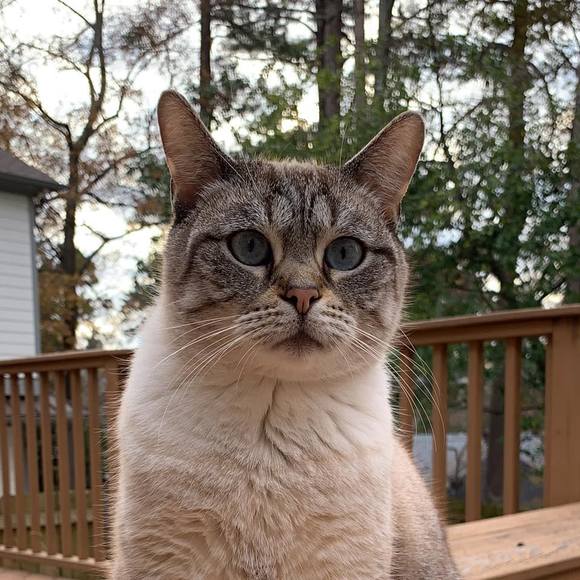 Profile Picture of Ting jou Tseng (@t_tseng) on Poshmark