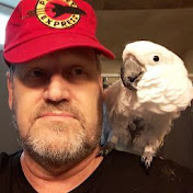 Profile Picture of David Green (@davidgreen5099) on Youtube