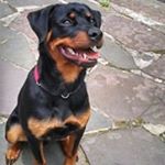 Profile Picture of Andrew Woodward (@woodward2285) on Instagram