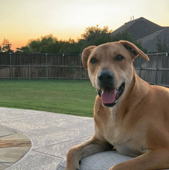 Profile Picture of Matt Diessner (@mdeez29) on Poshmark