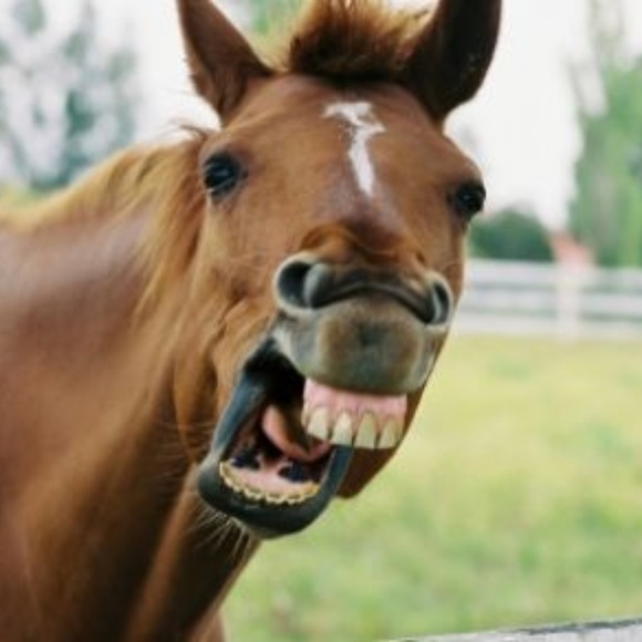 Profile Picture of Jerry Gibson (@jgib8857) on Poshmark