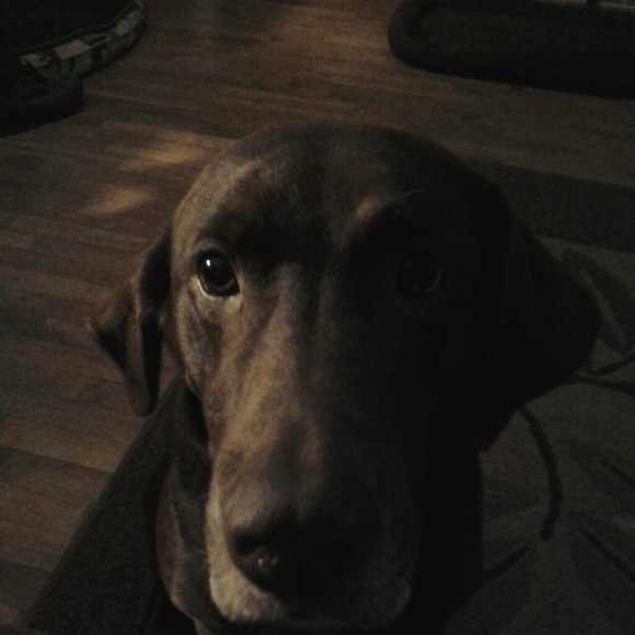 Ally Klander - Poshmark Profile Picture of Ally Klander (@designsklander) on Poshmark