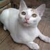 Profile Picture of Gary Palsu (@gary.palsu) on Facebook