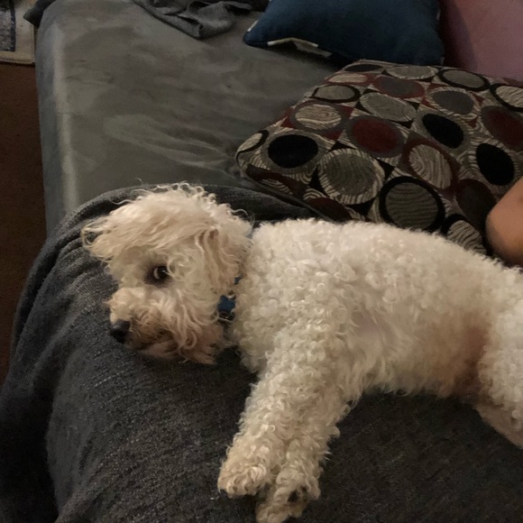 Profile Picture of Ayman Al hamdan (@simon762) on Poshmark