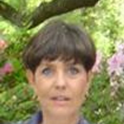 Profile Picture of Beth Havens (@BethHavens1) on Twitter