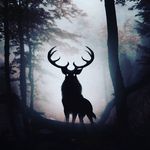 Profile Picture of Rahul Gopalakrishnan (@rahul_gopalakrishnan) on Instagram