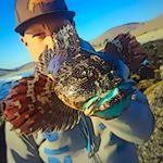 Profile Picture of Ken Foster (@kenf1977) on Instagram