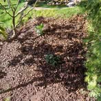 Profile Picture of Ralf Rebel (@ralf.rebel.5) on Facebook