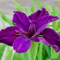 Profile Picture of Paige Tanner (@paige-tanner) on Quora