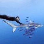 Profile Picture of Rene Martinez Saenz (@renemtzs) on Instagram