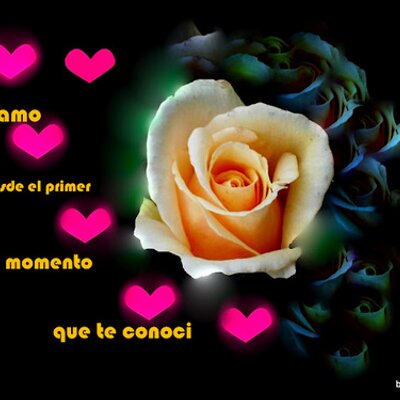 Profile Picture of Laura Cantor Diaz (@lalaodimelola) on Twitter