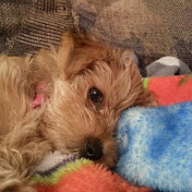 Profile Picture of Racheal Moore (@16rachealm) on Youtube