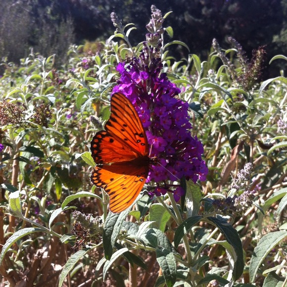 Profile Picture of Scott Feldmeier (@tinkerbell40210) on Poshmark