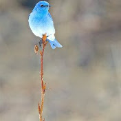 Profile Picture of Curtis Craven (@curtislynn1) on Youtube