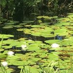 Profile Picture of Jeremy Crane (@crane4847) on Instagram