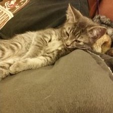 Profile Picture of Amanda Willman (@amandakwillman) on Twitter