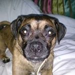 Profile Picture of Graham Carruthers (@carruthersgraham) on Instagram