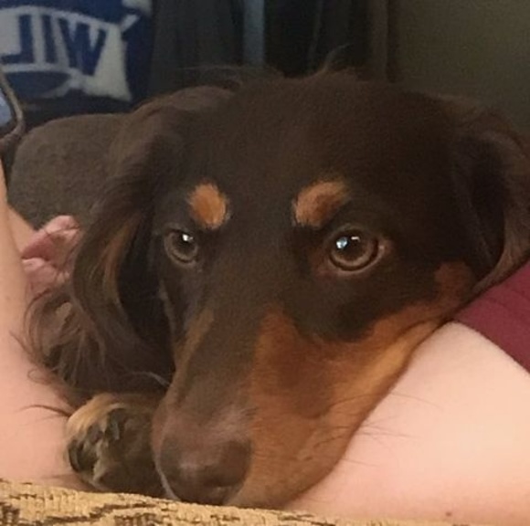 Profile Picture of Keith Dunbar (@dunbaj42) on Poshmark