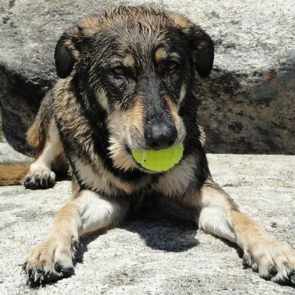 Profile Picture of Benjamin Molina (@benmolina07) on Poshmark