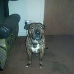 Profile Picture of Martin Nugent (@nugent9283) on Instagram