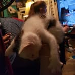 Profile Picture of Kenny Hopper (@kenny.hopper.2025) on Facebook