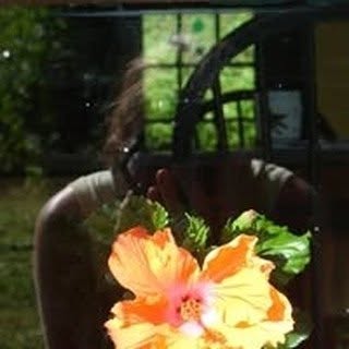 Cathy Lilienthal - Instagram Profile Picture of Cathy Lilienthal (@cathylilienthal) on Instagram