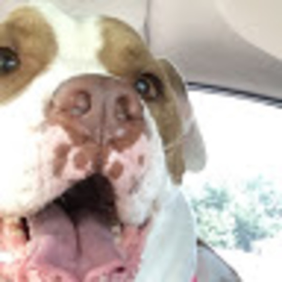 Profile Picture of Adam Olivo (@adamtko) on Poshmark