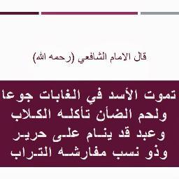 Profile Picture of Ahmed Shawkat (@Ahmedshawkat20) on Twitter