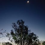 Profile Picture of Joe Skaff (@skaffjoe) on Instagram