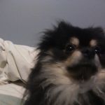 Profile Picture of Calvin gooldrup (@calvinduffg) on Instagram