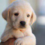 Profile Picture of lili☆ (@lisasteirer5) on Instagram