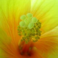 Profile Picture of Raymond De Vries (@devries4881) on Pinterest
