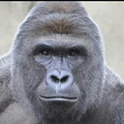 Profile Picture of Austin Lapierre (@LapierreAustin) on Twitter