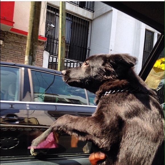 Profile Picture of Nili Blanck (@nilib) on Poshmark