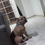 Profile Picture of cesar preciado sanchez (@aquiles_2406) on Instagram