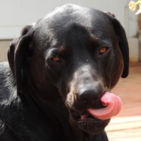 Profile Picture of Lori Worline (@lori-worline-1) on Quora