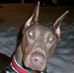 Profile Picture of Bradford Brady (@bradford.brady.35) on Facebook