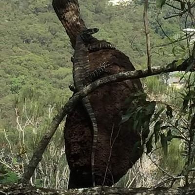 Profile Picture of Jacob Whittaker (@JacobWhittake10) on Twitter